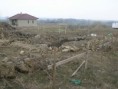 /album/sabenice/vykop10-jpg/